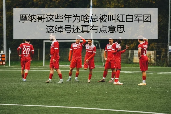 mo-na-ge-zhe-xie-nian-wei-sha-zong-bei-jiao-hong-bai-jun-tuan-zhe-chuo-hao-hai-zhen-you-dian-yi-si-2-350.jpg