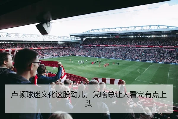 卢顿球迷文化这股劲儿，凭啥总让人看完有点上头 - leyu